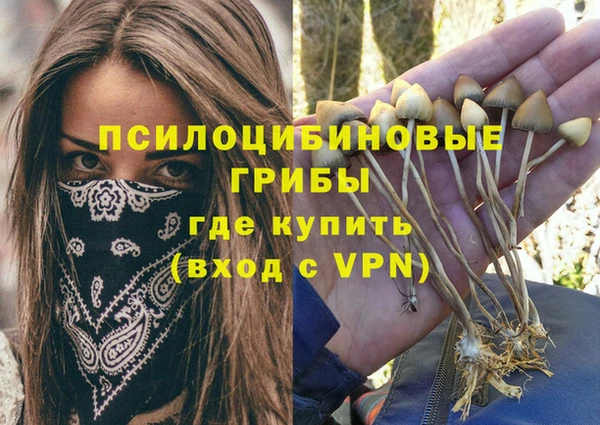 PSILOCYBIN Беломорск