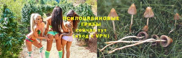стаф Балабаново