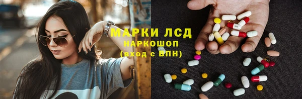 PSILOCYBIN Беломорск