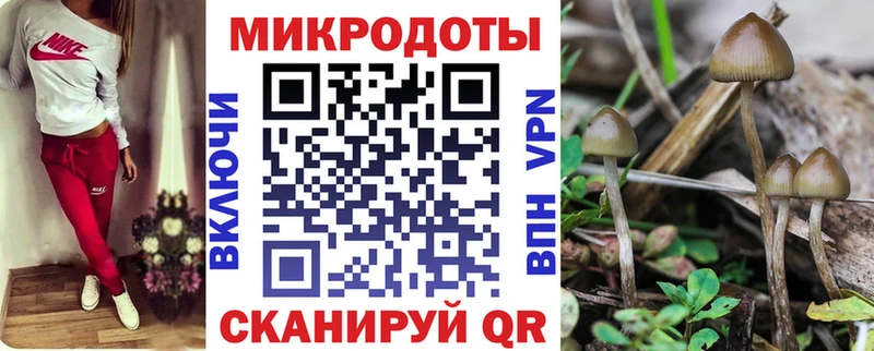 Псилоцибиновые грибы GOLDEN TEACHER  где продают наркотики  Сердобск 